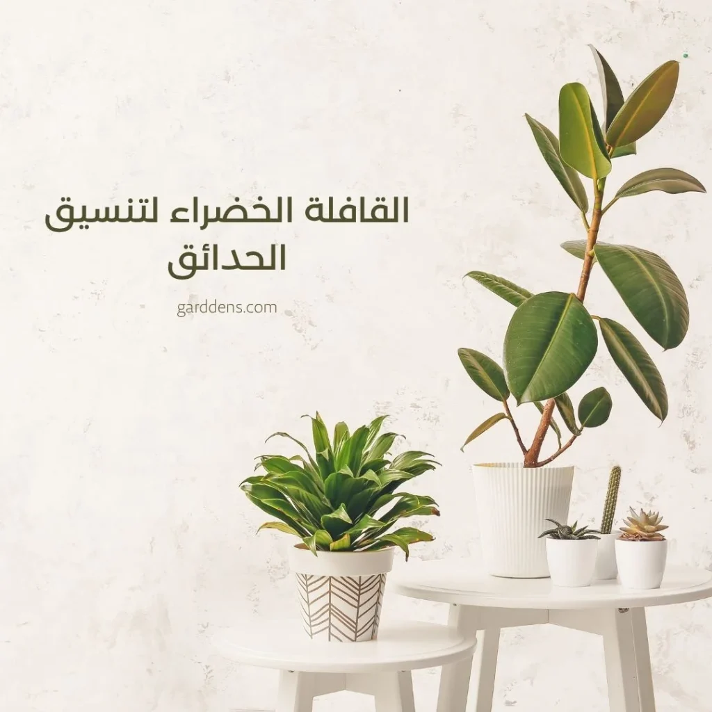 تنسيق حدائق الكويت