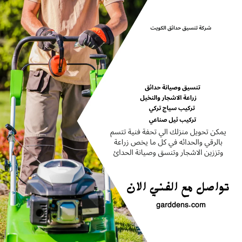 تنسيق حدائق فلل