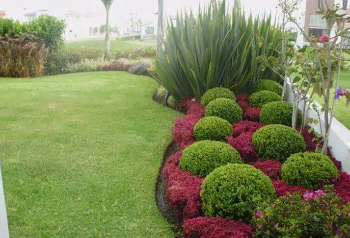 تنسيق حدائق منزلية