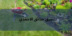 تنسيق حدائق الاحمدي
