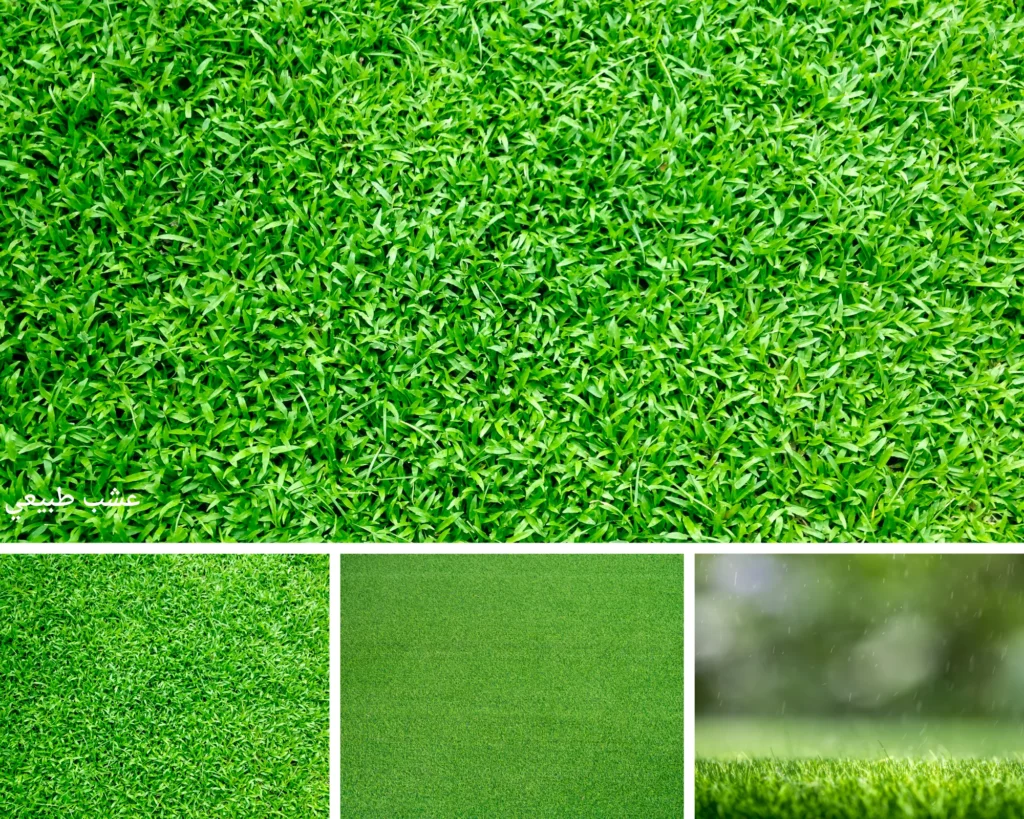 زراعة ثيل طبيعي بالكويت 