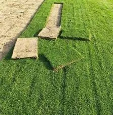 زراعة ثيل طبيعي