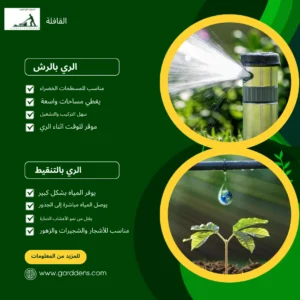 الري بالرش والري بالتنقيط